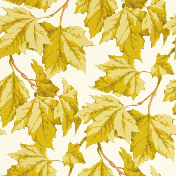 Dappled Leaf Wallpaper - 113046